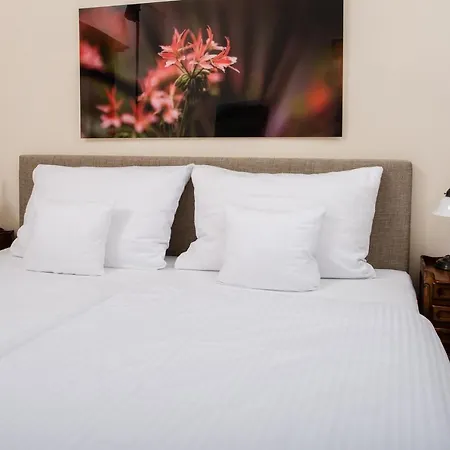 Altstadthotel Treysa Otel 3*