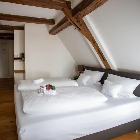 호텔 Altstadthotel Treysa 3*