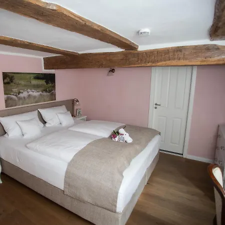 Отель Altstadthotel Treysa