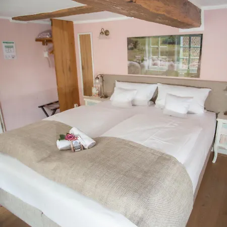 Altstadthotel Treysa 3* Швальмштадт