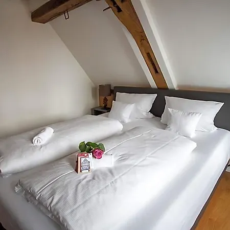 Altstadthotel Treysa Hotel 3*