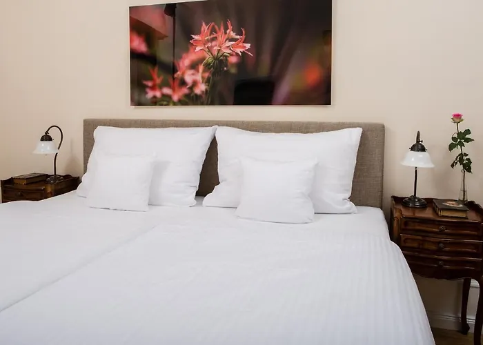 Altstadthotel Treysa Hotel 3*